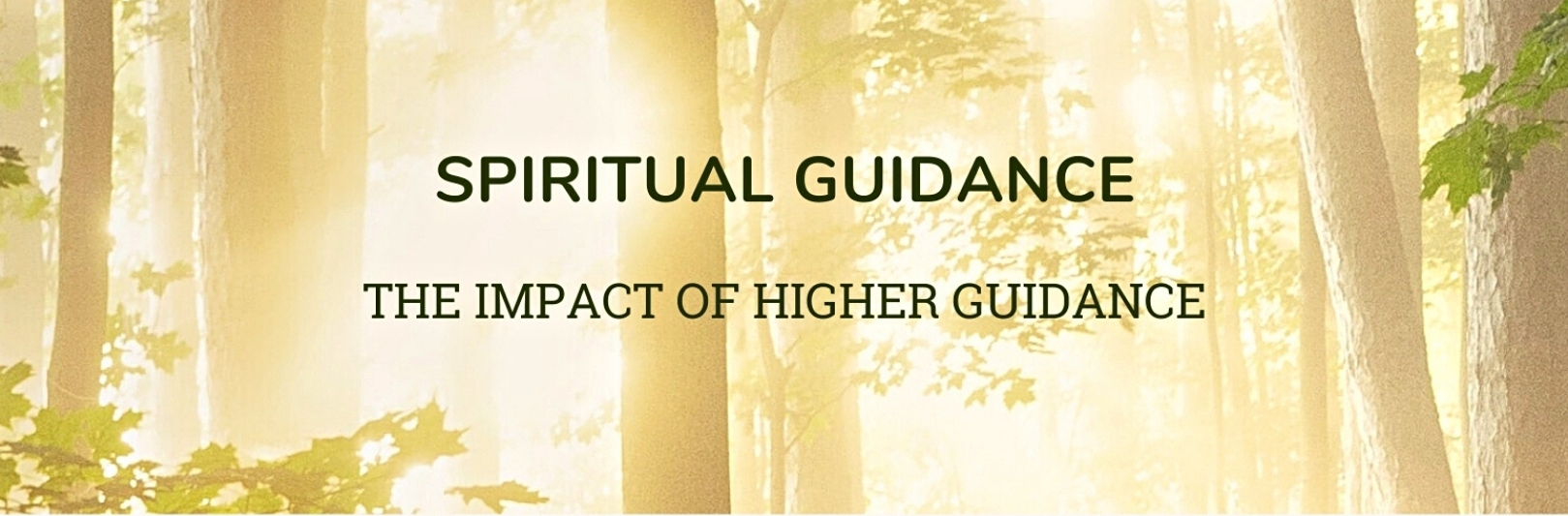 4.  Spiritual Guidance: Intro Goes Here